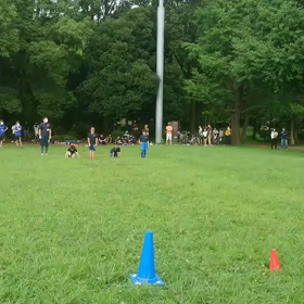 ダッシュ(赤・黄グループ)①の画像