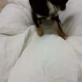 わからないことは腹が立つの画像