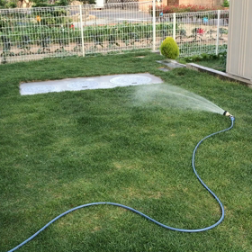 芝生と池と睡蓮とめだか達。の画像