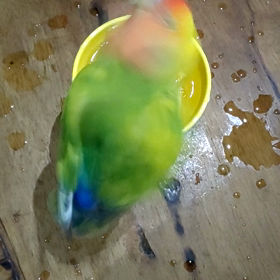 キレイ好きの画像