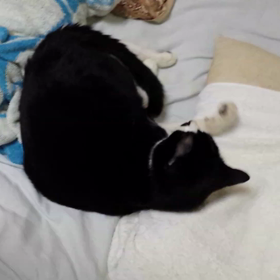 休憩なうの画像