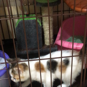 慎重に、慎重にの画像