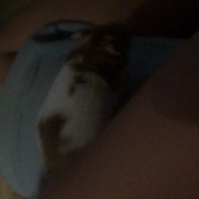 ハム太と遊ぶの画像