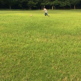 アメンバー限定の画像