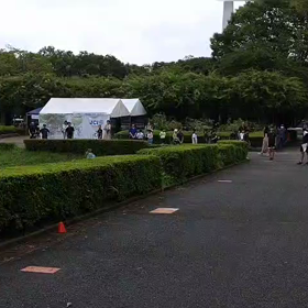 リレー選考会　スタート付近①の画像