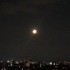 中秋の名月の画像