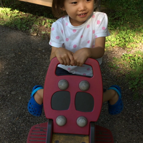 鳥のフンの画像