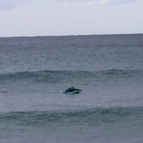 今日もモアモアメンバーと入水の画像