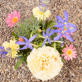 介護記録８０（反面教師）の画像