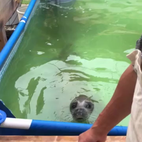 ☆チュウ～(^3^)☆の画像