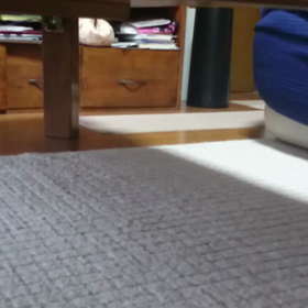 動き、食べられる原動力はどこから…の画像