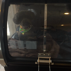 ⬛️4/5〜4/11＊酸素カプセルご利用のお友達⬛️の画像