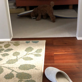 親友救出ガンバの画像