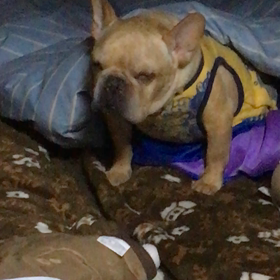 さがってますよ！ 続編(笑)の画像