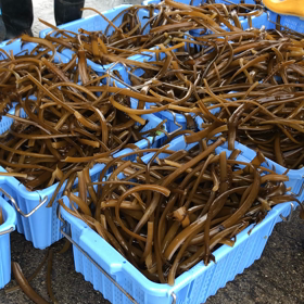 誘導係から学ぶ。の画像