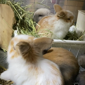 びっくりしたよ〜の画像