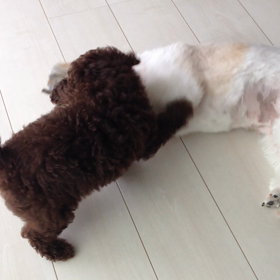 今日は休みーの画像