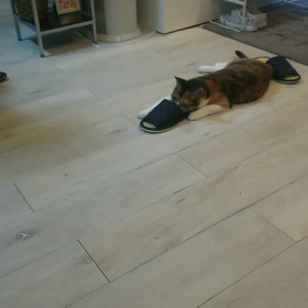 スタッフのお休み日程の画像