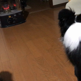 何か可哀想かな、どっちもの画像