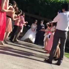 フラワーシャワーの画像