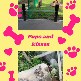 九州旅行～鹿児島編①～の画像