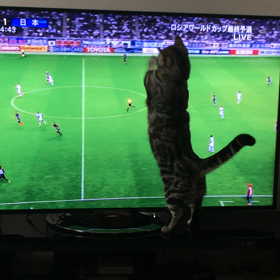 とらぢ@44の画像