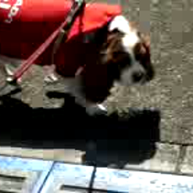 良いお歳をお迎えください。の画像