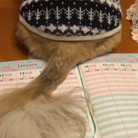 あのー(^_^;)の画像