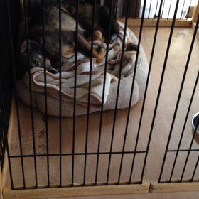 今朝の見送りの画像