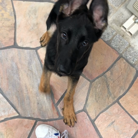 伏せマスター？？の画像