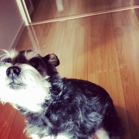 ハヤク〜！の画像