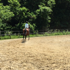 できるように！の画像