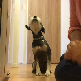 察してよ！の画像