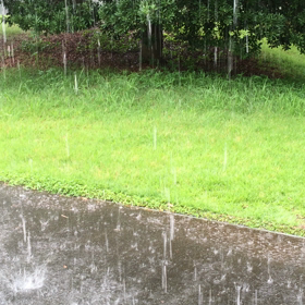 徒然なるままにの画像