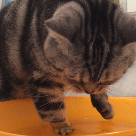 やりすぎ？の画像