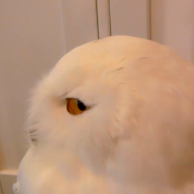 嵐の活動休止の画像