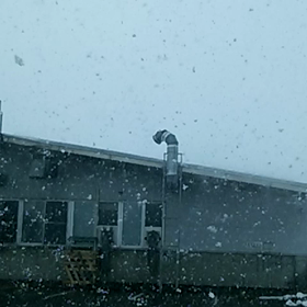 プチ吹雪の画像