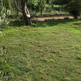 むぎと和平の声や音。の画像