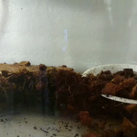 今日は何の日？の画像