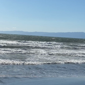 強風にての画像