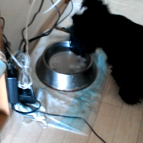 まりも式『クールダウン方』の画像