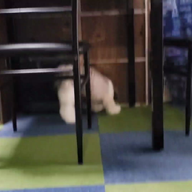 新しいおもち  ゃの画像