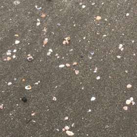 こっちも楽しむぞ！！の画像