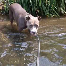 川あそび❤大好き❤ももたん❤の画像