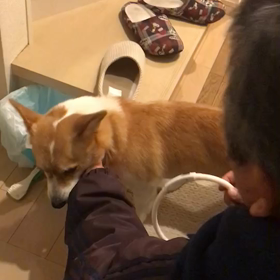 装着‼︎☆の画像