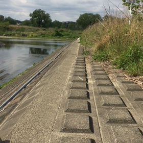 糖質ダイエット(健康法)の画像