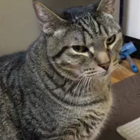 飛んで 飛んで 〜〜  7年前の画像