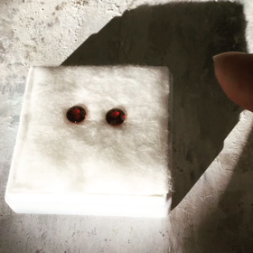 マラヤガーネットの動画　もう一回撮ってみたの画像