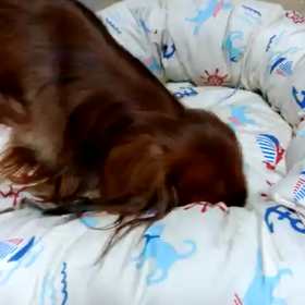 ぽたさんの仕事ぶり。の画像