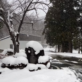 久しぶりの・・・！！の画像